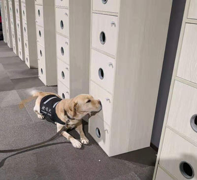 1667459945223367 1667459945223367