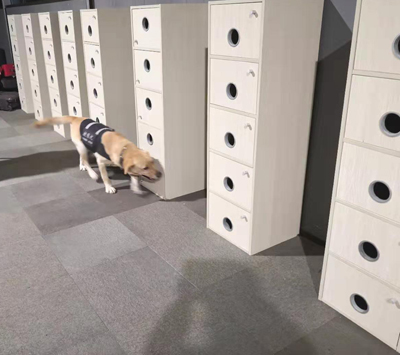 1667459946713348 1667459946713348