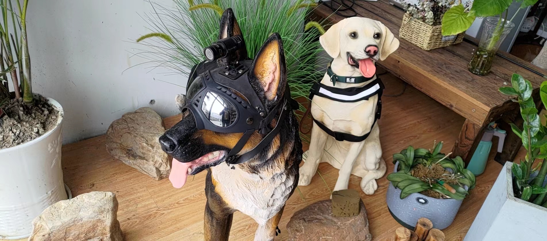 分类-训练装备-警犬训练器材厂家 _警犬训练用品_工作犬训练用品-南京开久警犬装备