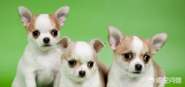 20220421042640165048640019343 20220421042640165048640019343