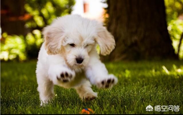 20220421042641165048640143462 20220421042641165048640143462