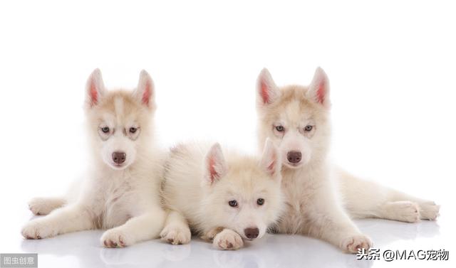 20220421043733165048705382123