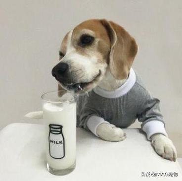 20220421043733165048705391246