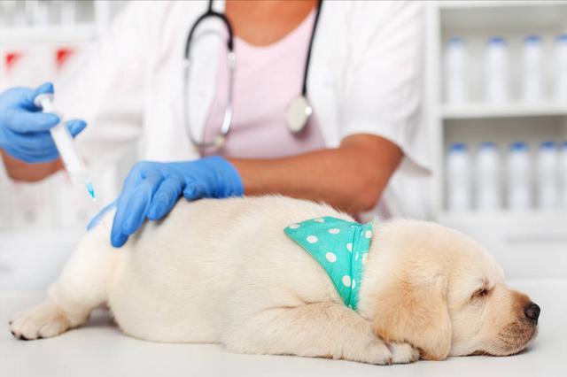 20220421045721165048824124861 20220421045721165048824124861