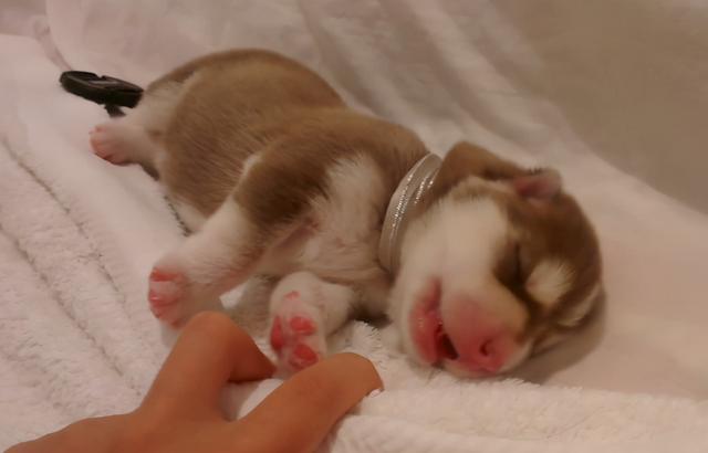 20220421045721165048824197694 20220421045721165048824197694