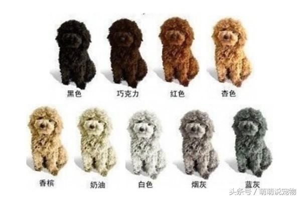 20220421050243165048856394018