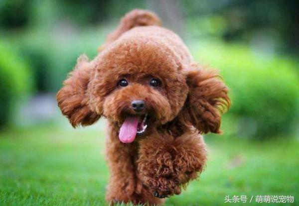 20220421050244165048856426423