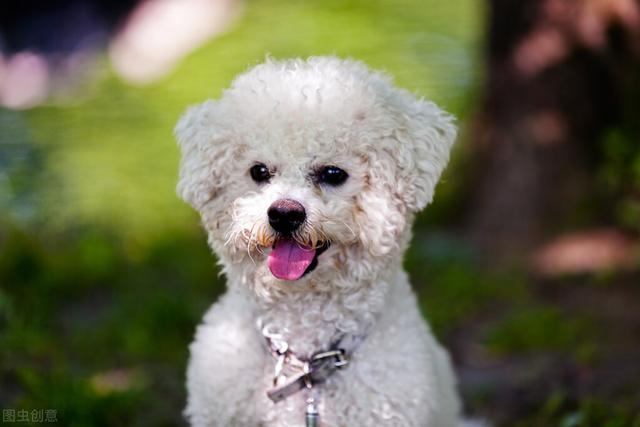 20220421050903165048894359805 20220421050903165048894359805