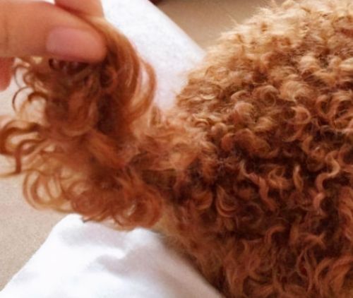 20221025173631_59282 20221025173631_59282