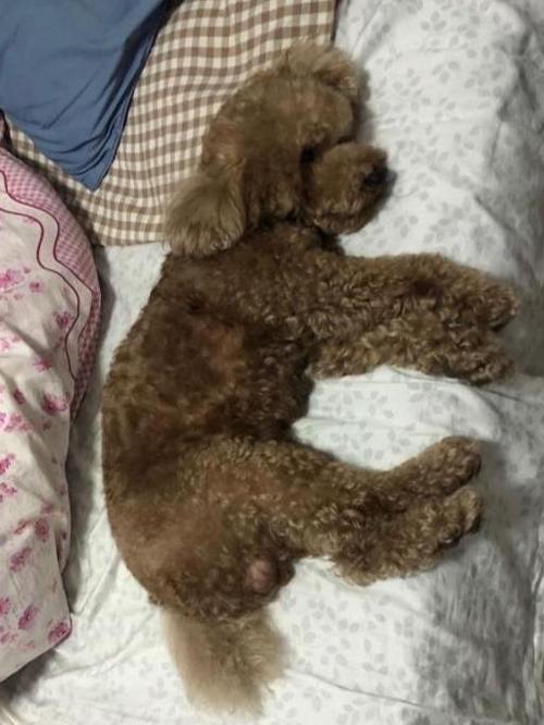 20221025173632_85845 20221025173632_85845