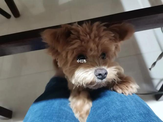 20221026110202_64242