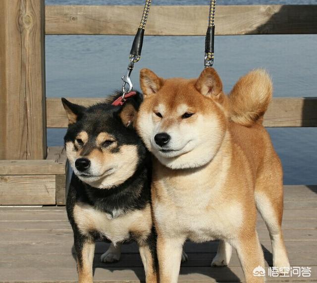 20221026120005_77786