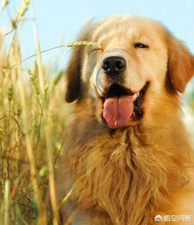 20221026120006_88923