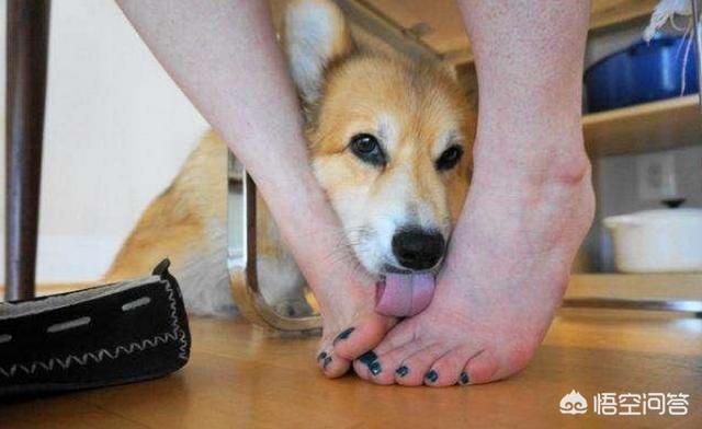 20221031085838_25907