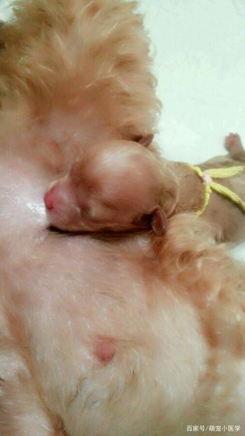 20221031090959_89773