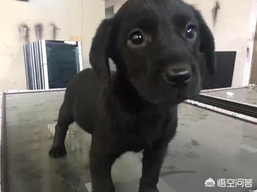 20221102102236_18016 20221102102236_18016