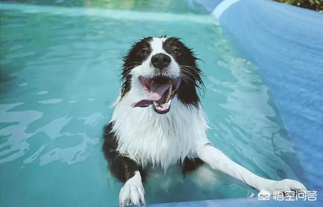 20221102102237_15543