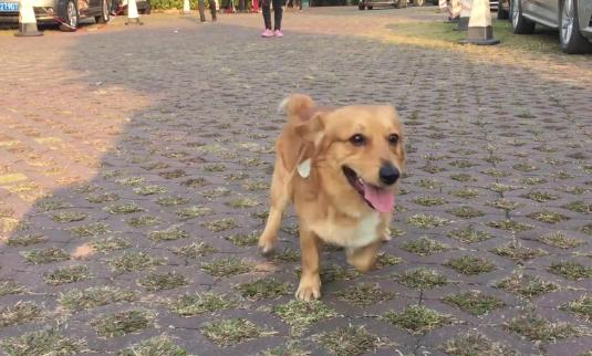 20221102123207_55888 20221102123207_55888