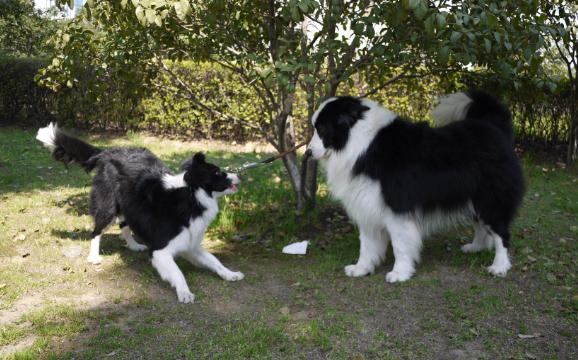 20221102123208_79805 20221102123208_79805