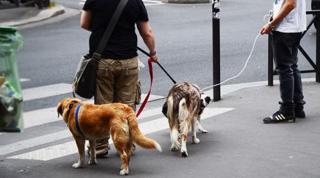 20221102123208_89024 20221102123208_89024