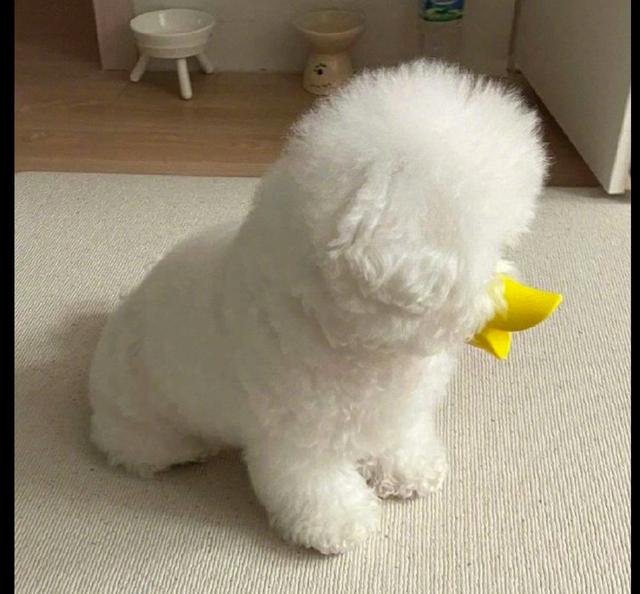 20221102135614_48248