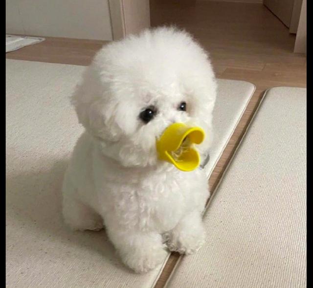 20221102135614_64718