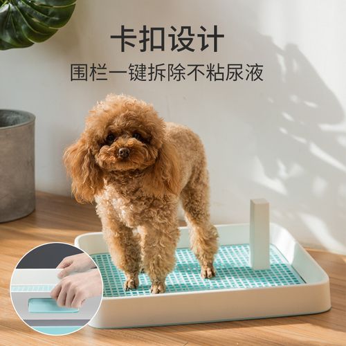 训练2岁的狗狗大小便(狗狗几个月开始训练大小便)-警犬训练器材厂家 _警犬训练用品_工作犬训练用品-南京开久警犬装备