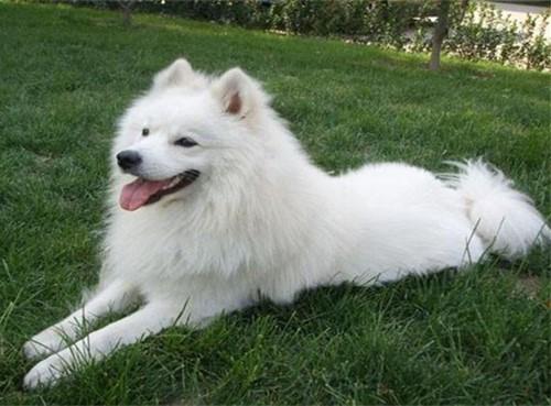 20221102142605_43502