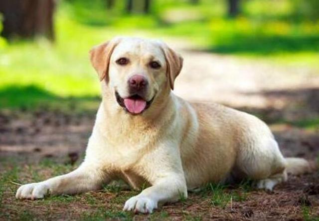 20221102170110_63660 20221102170110_63660