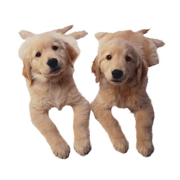 20221102170111_64204 20221102170111_64204