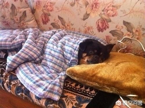 20221102193348_19860 20221102193348_19860