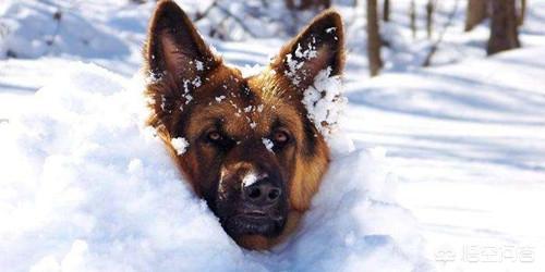 20221102193348_27078 20221102193348_27078