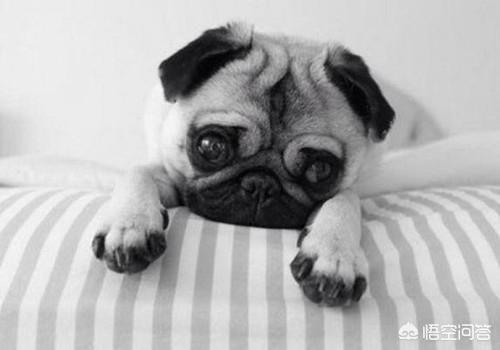 20221102193349_10408 20221102193349_10408