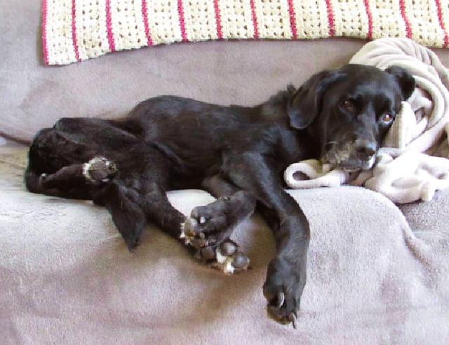 20221102220842_17804 20221102220842_17804