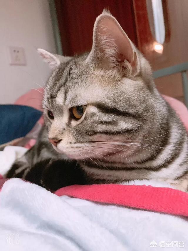 20221103170905_24424