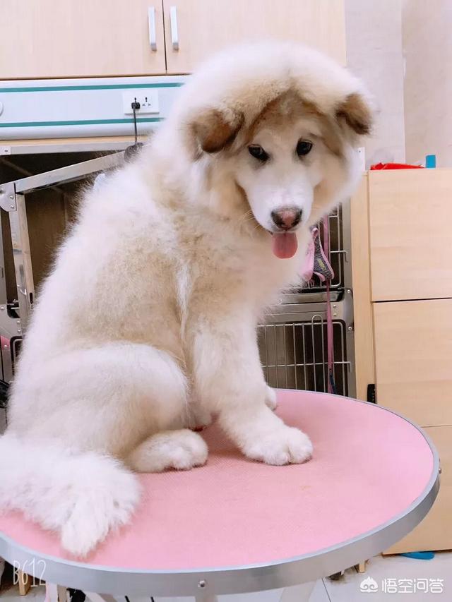 20221103170906_19840