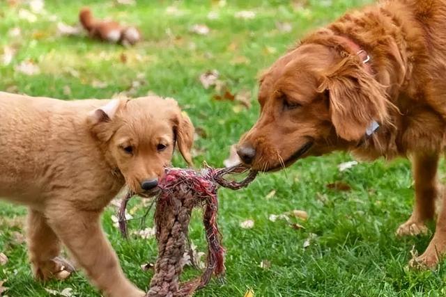 20221104005957_46224