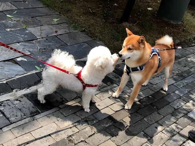 20221104005957_76940