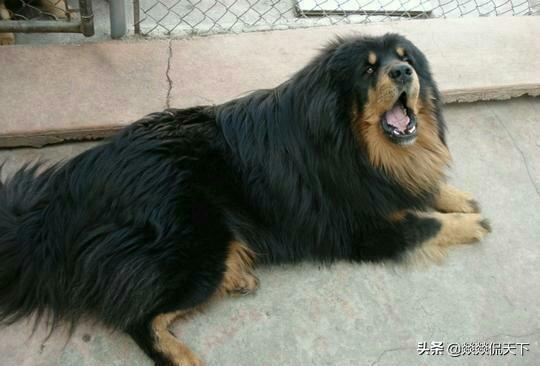 20221104091442_32699