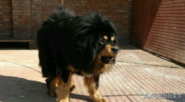 20221104091442_84353