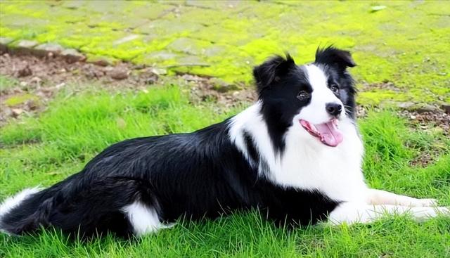 20221104091632_33619 20221104091632_33619