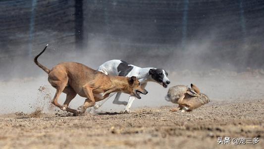 20221104113029_19596 20221104113029_19596