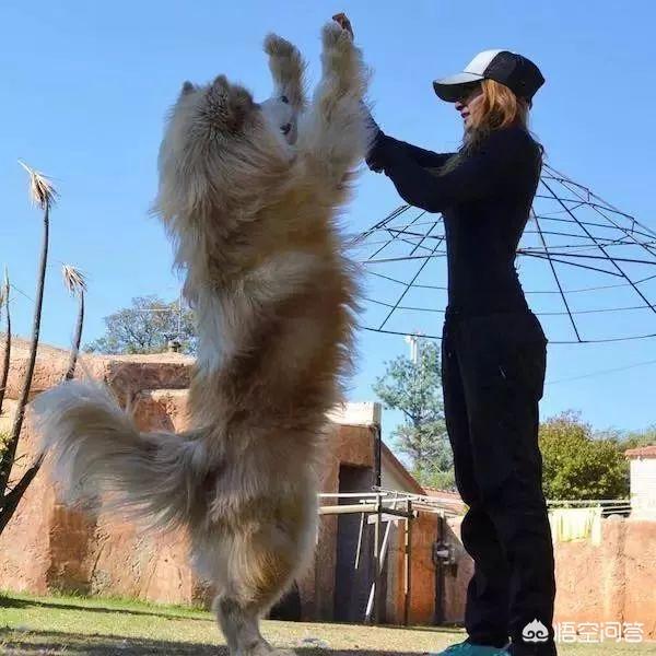 20221104113030_81535 20221104113030_81535