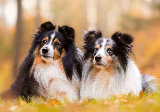 20221104171327_26733