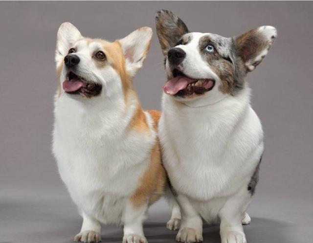 20221104171327_83133