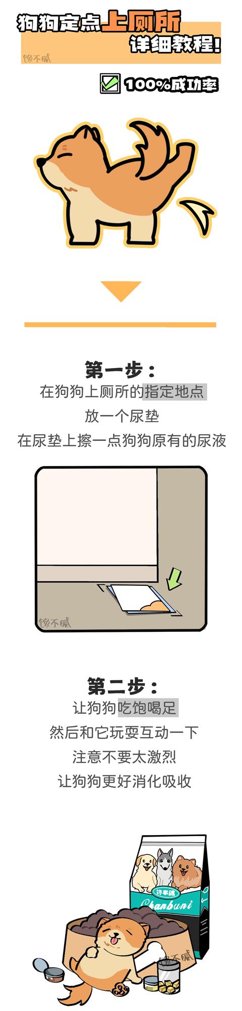 上班族怎么训练狗狗上厕所-警犬训练器材厂家 _警犬训练用品_工作犬训练用品-南京开久警犬装备