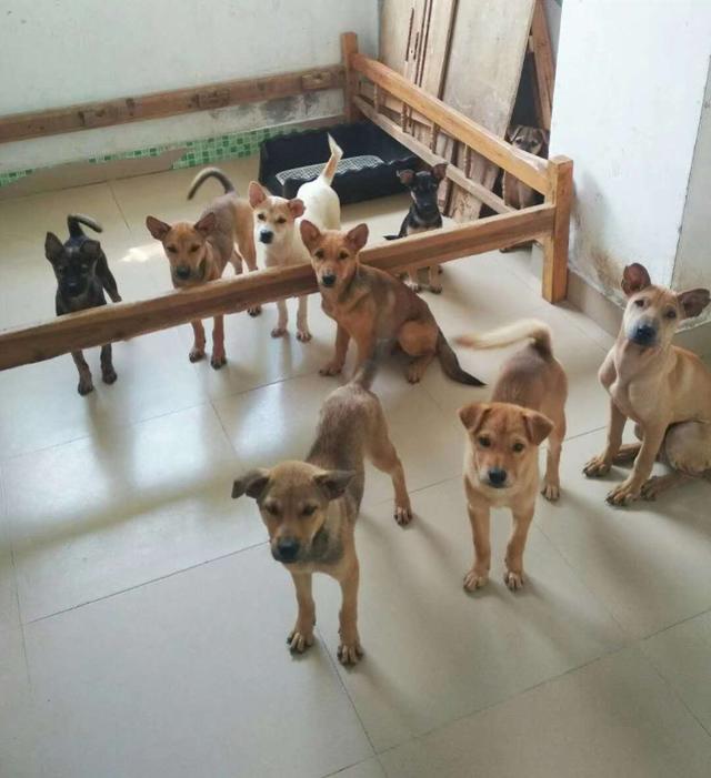 20221104201631_87087