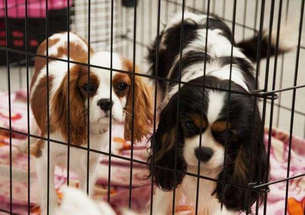 20221104212010_71499