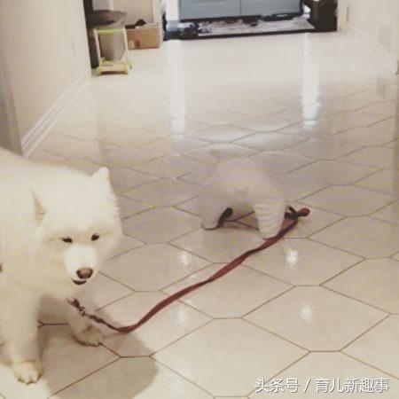 20221105112614_54849 20221105112614_54849