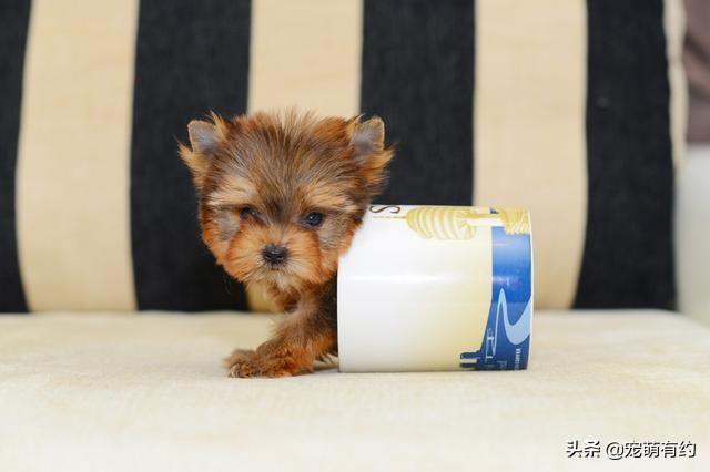 20221105113031_49770